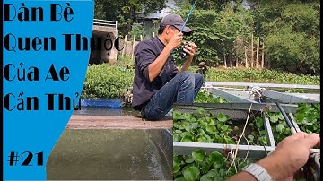 CÂU CÁ TRÊN BÈ MỸ HOÀ HƯNG DÀN BÈ QUEN THUỘC CỦA AE CẦN THỦ | PHAT AG FISHING |#21