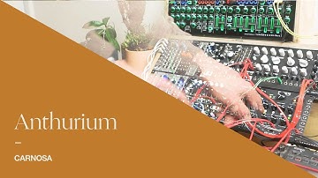 Anthurium - Carnosa [Mutable Elements and Strymon Magneto Soundscapes]