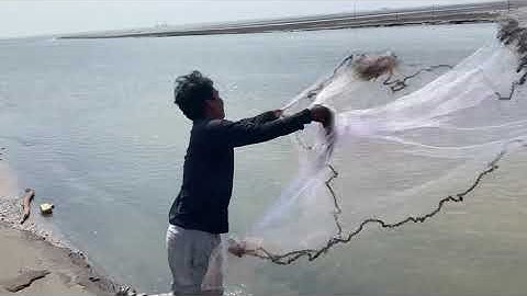 Đi biển cần giờ,câu cá chẻm  ko có nhưng chài lại có