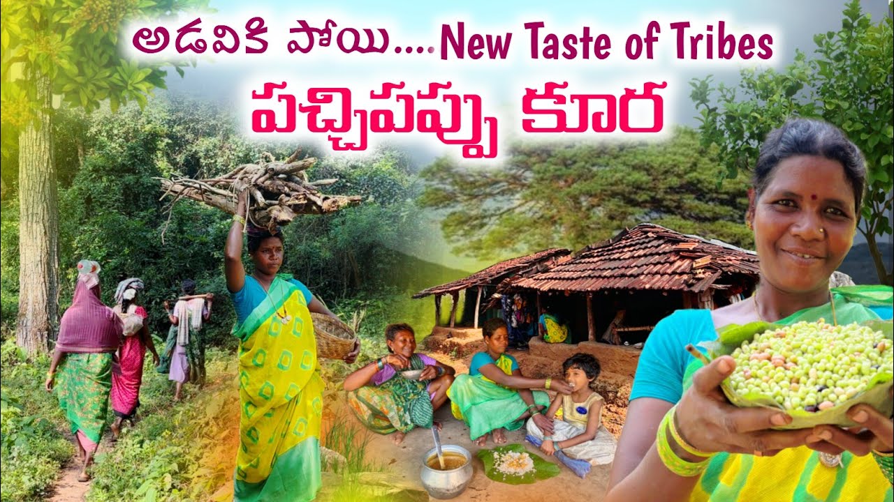 కొండపోడు నుంచి పచ్చిపప్పు–గిరిబిడ్డల కమ్మని వంట: KONDH TRIBES special recipe Cooking 