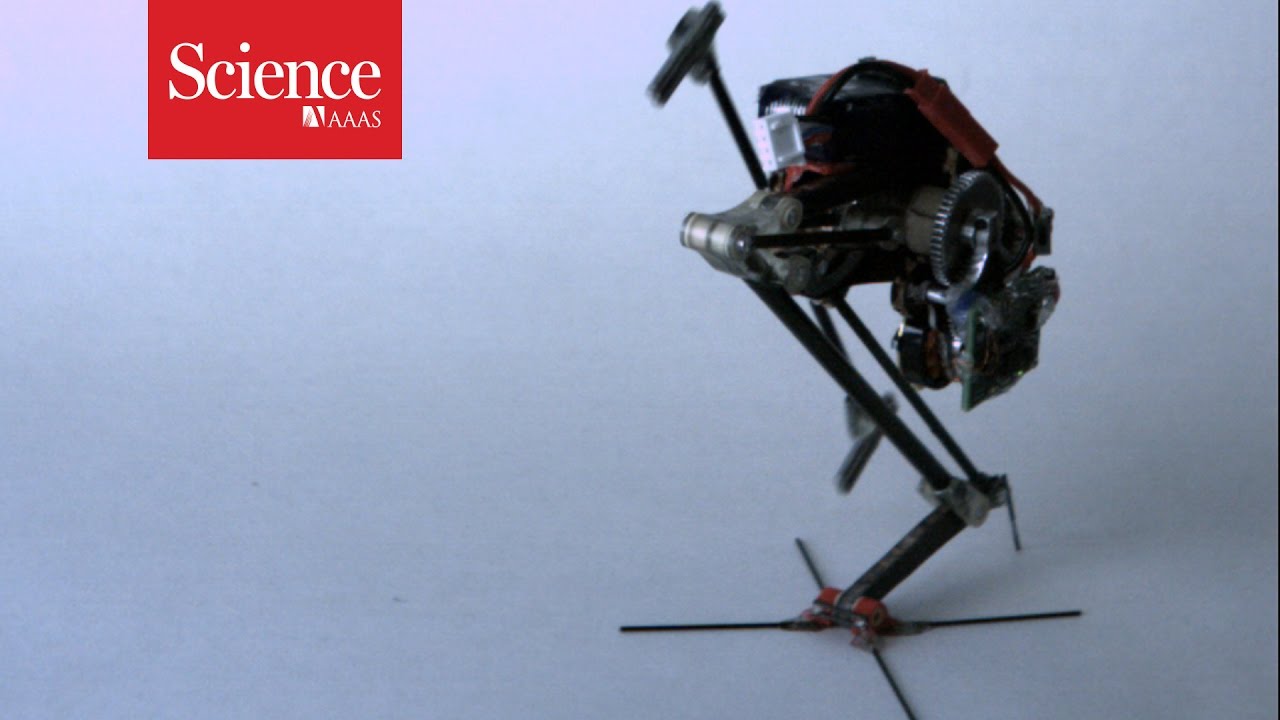 Parkour robot can do wall jumps YouTube