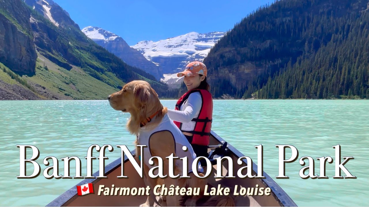 🇨🇦 My DOG travels to a WORLD WONDER BANFF National Park | Fairmont Lake Louise | Moraine Lake