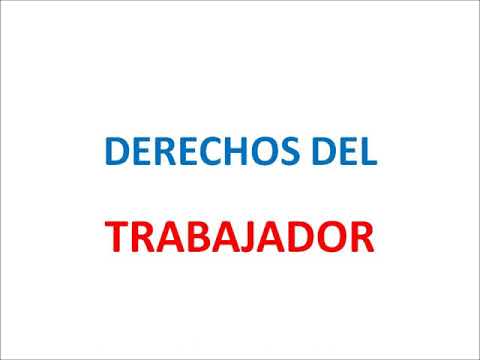 ¿Cuál Es El Significado De Su Estado Laboral Actual?