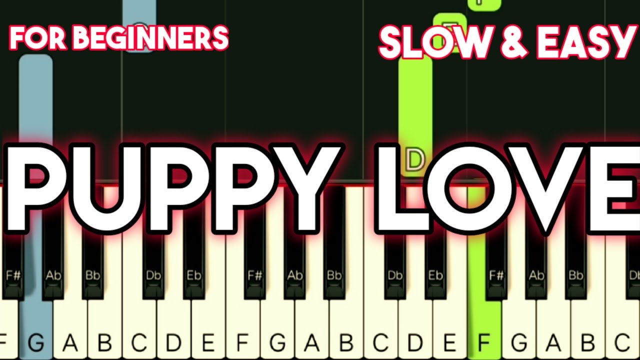 PAUL ANKA - PUPPY LOVE | SLOW & EASY PIANO TUTORIAL