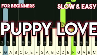 PAUL ANKA - PUPPY LOVE | SLOW &amp; EASY PIANO TUTORIAL