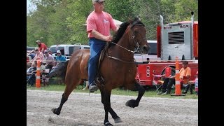 2017 Big Guns Speed Class