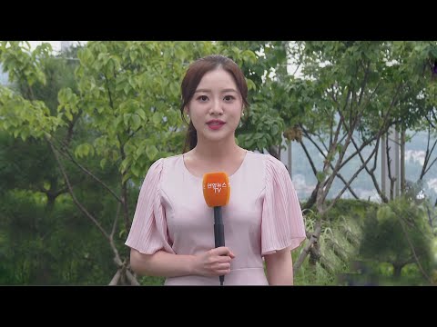 [날씨] 내일까지 산발적 비…전국 곳곳 폭염특보 / 연합뉴스TV (YonhapnewsTV)