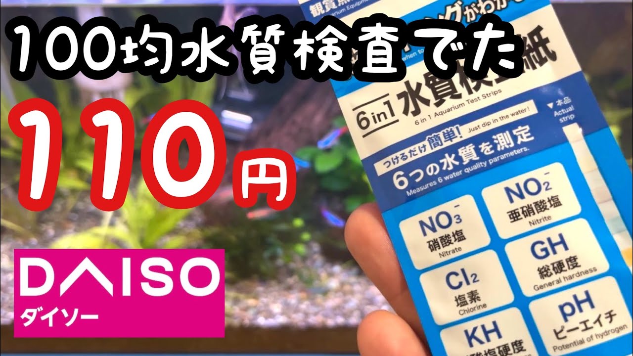 ph 試験 紙 ダイソー