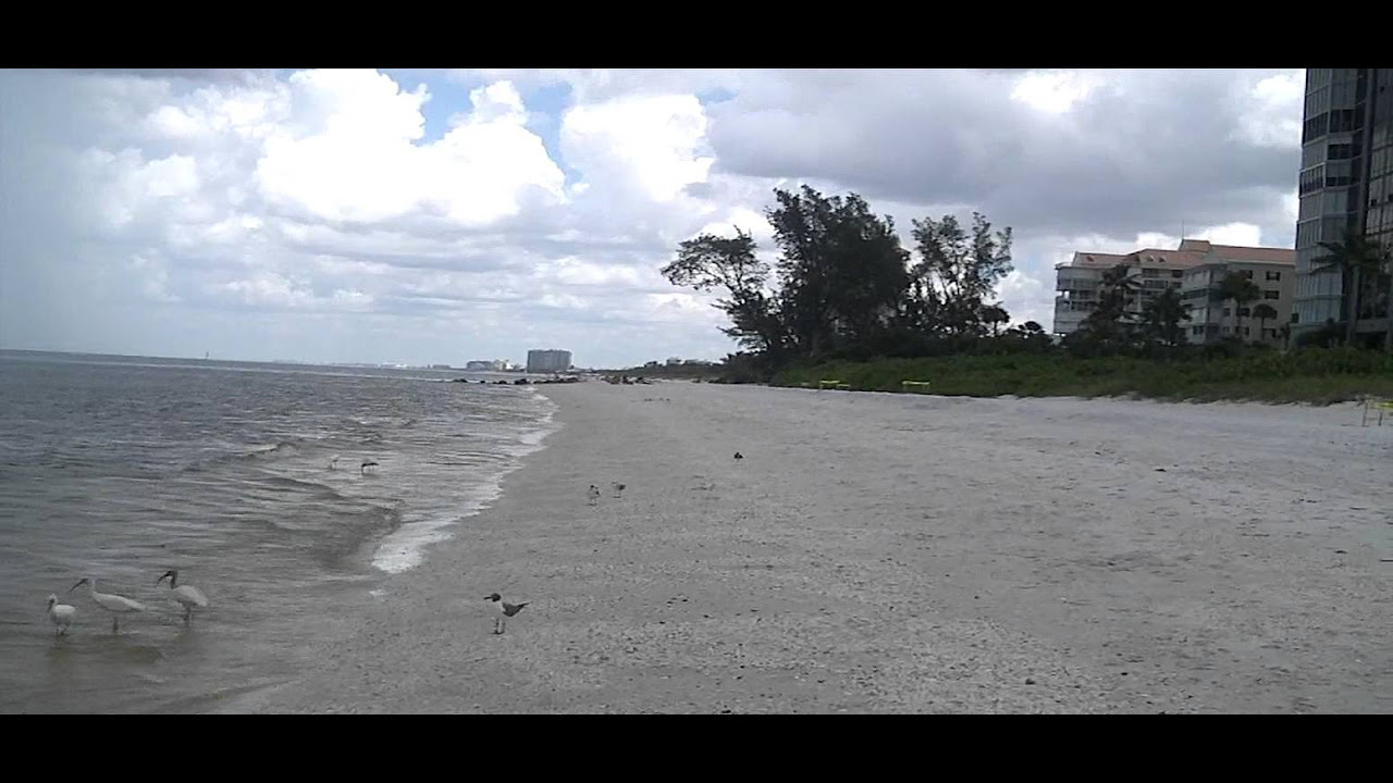 Naples Florida Gulf of Mexico Red Tide