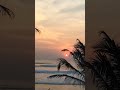 #india #bharat #iloveindia #sunset #индия #закат #гоа #goa
