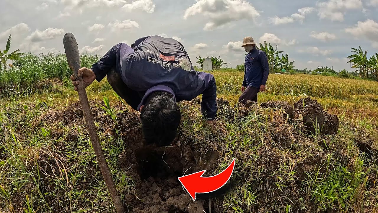 Mùa Rắn Ở Cặp Đến Rồi | TGSB 