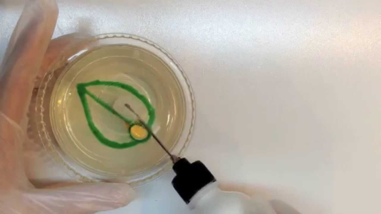 3D GELATIN ART  FLORAL PASO A PASO ALCATRACES: NIVEL 1