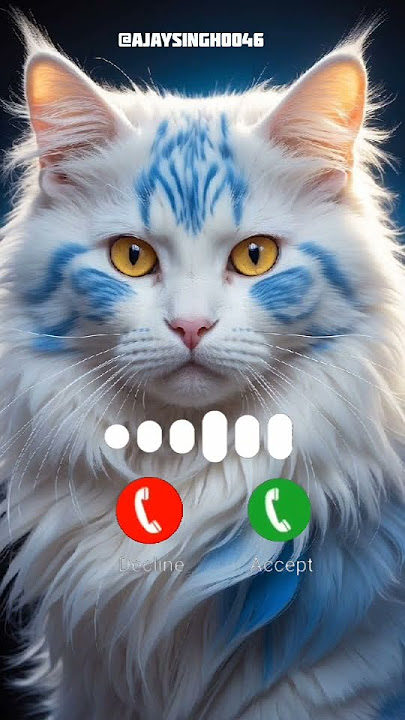 Cute cats calling ringtone #ringtones #catcute #catcalling #aicatvideo #ringtone