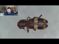 Pre-Chatchats! Come learn to identify beetles! Starting a NEW superfamily today  | January 14, 2026