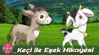 Eğitici Masallar - Keçi Ile Eşek Hikayesi - Kıskanç Keçi 2022 Yeni