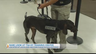 Inside look at K-9 training facility
