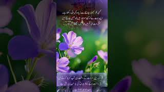 ،#quotes #shortvideo #subscribe #shortsviral #positivethinking #changeyourmindsetchangeyourlife