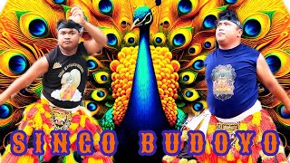Pambuko/tari dadak merak SINGO BUDOYO, live muneng