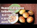 296_Подарок дедушки ХоШиМина. Вьетнамская и другие дыни.