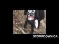 Sdk 402 keep6 song by young sin lost free download below mp3