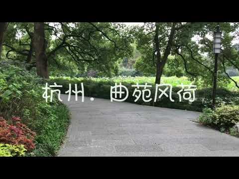 杭州·曲苑风荷