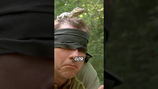 can chris guess the animal on his head?