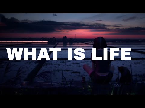 ||•○WHAT IS LIFE○•|| Written by @jungkookie_777