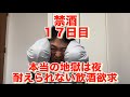 20年間毎日お酒を10杯以上飲んでいた芸人がついに禁酒を決意！夜の飲酒欲求は地獄！アル中、禁酒、精神崩壊、絶望、地獄、断酒、重度アルコール依存症、不眠症、酒鬱、不安症、パニック症、自律神経失調症