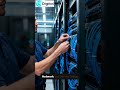 💼 Small Business IT Services in Dubai