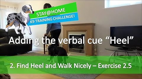 Exercise 2.5 - Adding the verbal cue 