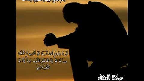 القارئ محمد سرور عبدالجميل...