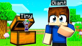 GIANT vs TINY Minecraft Hide and Seek