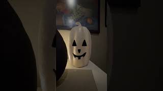 Moody Moments | Halloween 2025