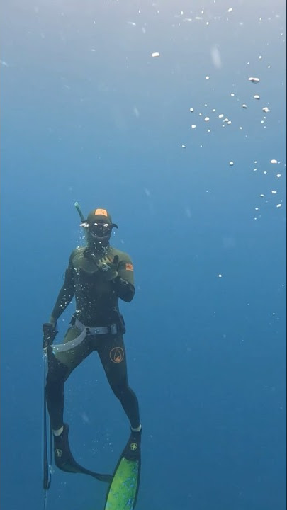 Spearfishing/Freediving the Coronado Islands - Just Get Wet 