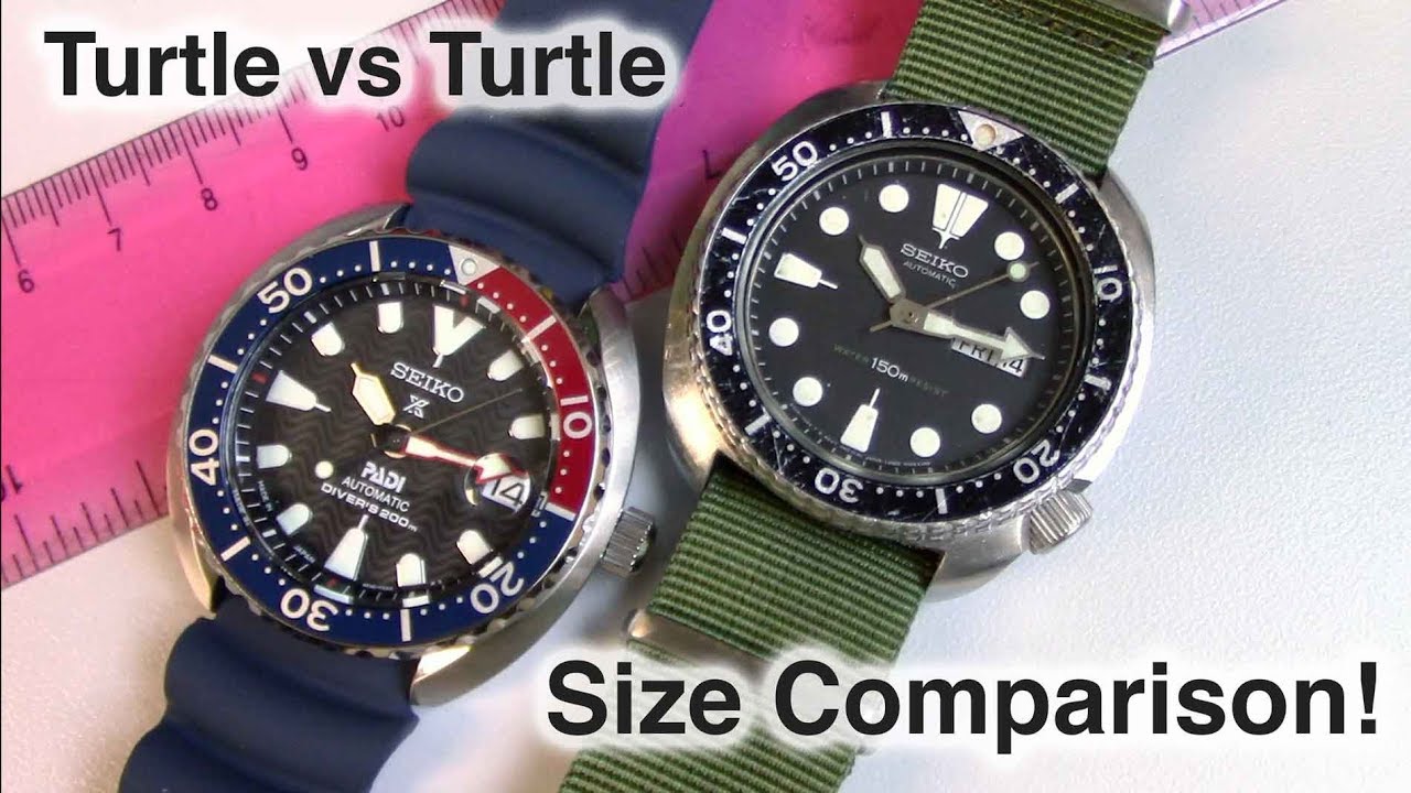 Seiko Turtle Size Comparison | Mini vs Full! - YouTube