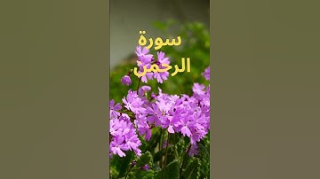 سورة الرحمن قاري عبد الباسط شفاء للقلوب