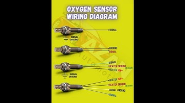 O2 Sensor Wiring Diagram | #autoelectrician #o2sensor #oxygensensor #lambdasensor #o2sensorwiring