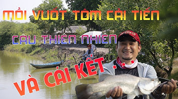 Vuốt Tôm Cải Tiến Câu Đầm thiên nhiên - Tưởng Không Phê Ai Ngờ Phê Không Tưởng | Câu Thiên nhiên.