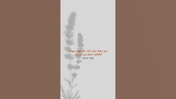 #اكسبلور #quran #اذكار #اسلاميات #لايك #literacy #دينيه #ترند