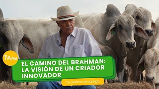 El camino del Brahman: La visión de un criador innovador  TvAgro por Juan Gonzalo Angel Restrepo