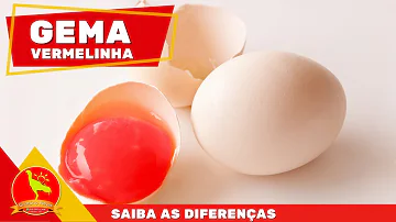 Qual é a cor ideal da gema do ovo?