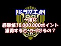 【検証9】ドラクエ4 ホイミンがデスピサロを倒すとどうなるの?