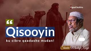 Qisooyin Cajiib Ah Ku cibro qaadasho mudan!! Sheekh Mustafe Xaaji 