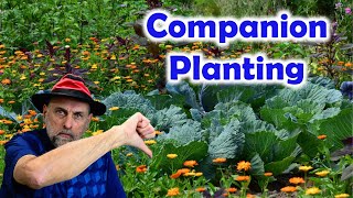 Does Companion Planting Work? by Garden Fundamentals 15,020 views 10 days ago 17 minutes