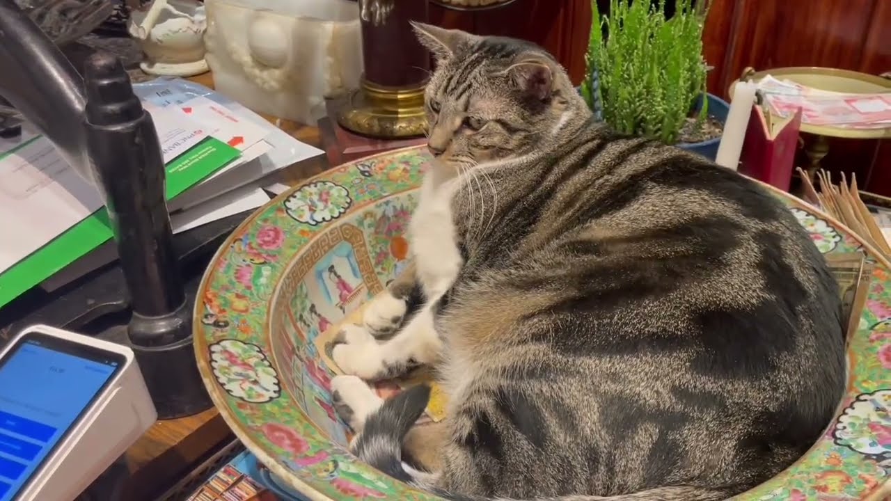 visiting a vintage bookstore