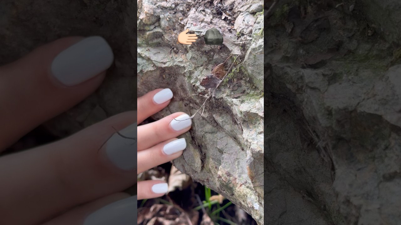 Touching a Stone with Fingertips 🪨✋ | Close-Up Nature ASMR 