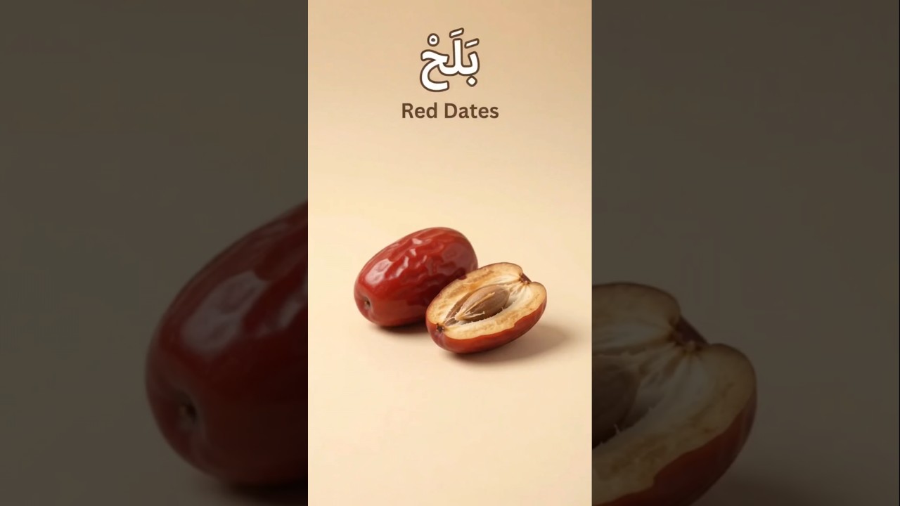Mandarin, Dates & Balh in Arabic! 🍊🌴