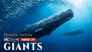 Hidden Ocean Giants: The Massive Creatures Beyond Human Knowledge
