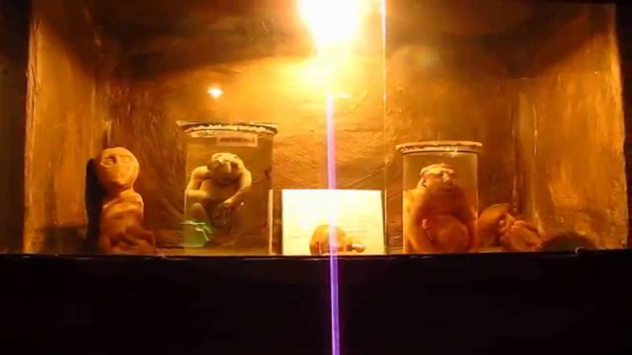 Комната страха в Киеве - YouTube