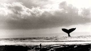 SEVERAL MINUTES LATER - THE OLD MAN AND THE WALE